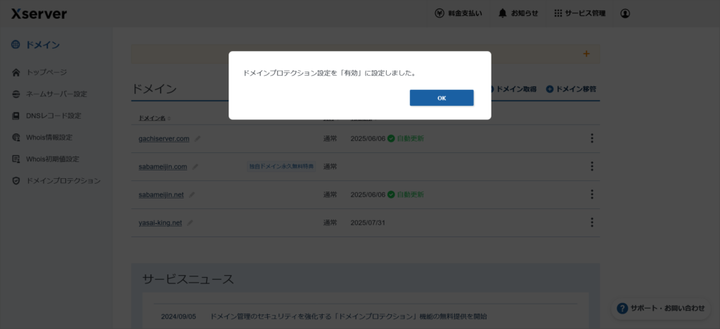 ドメインプロテクションの設定完了