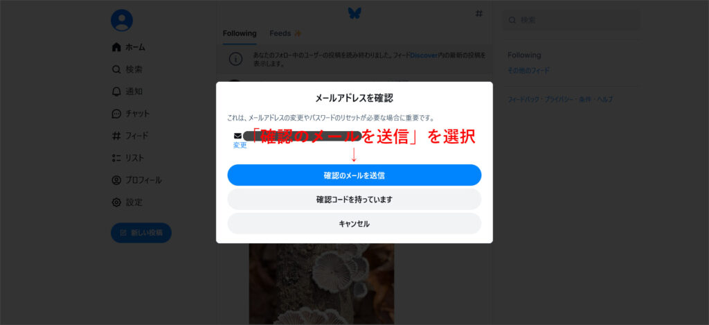 メールアドレスの確認