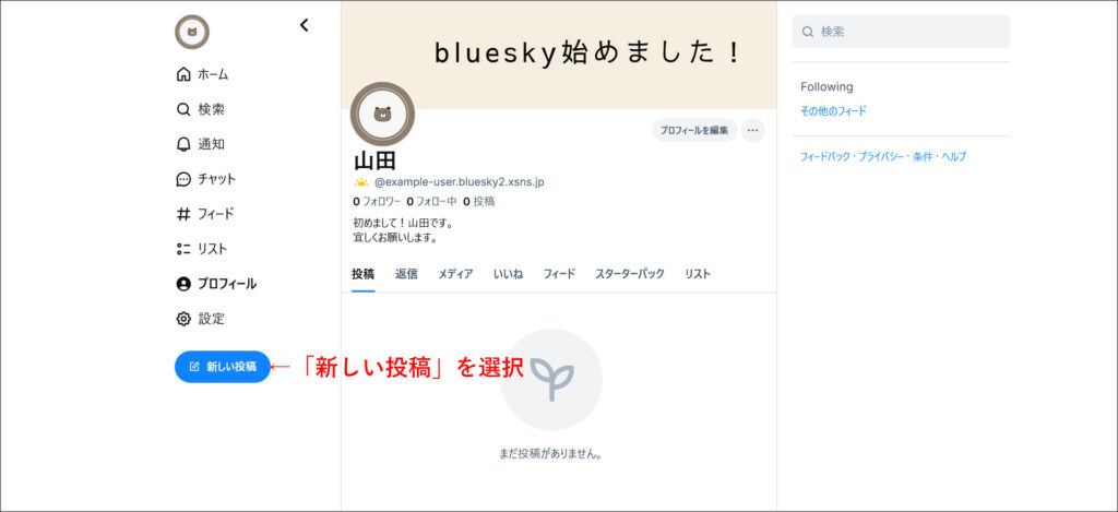 Blueskyのホーム画面